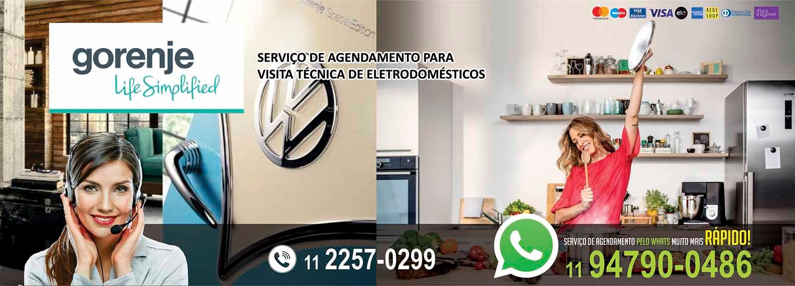 assistencia tecnica Gorenje eletrodomesticos